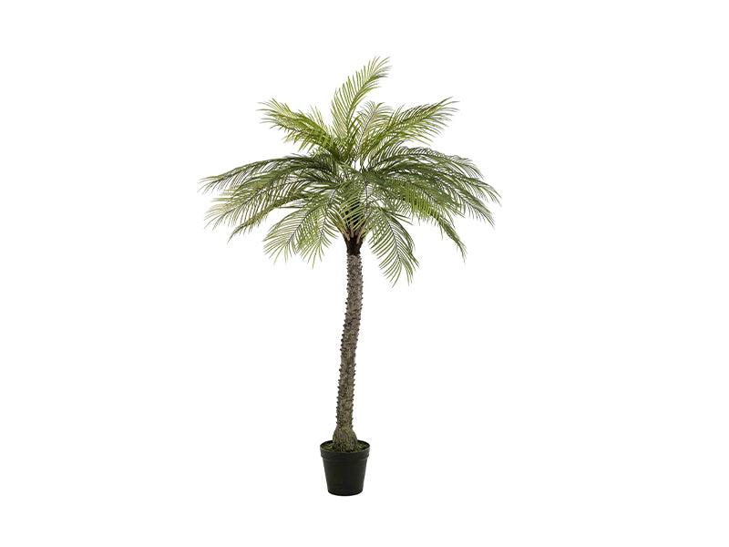 Artificial Phoenix Palm Deluxe