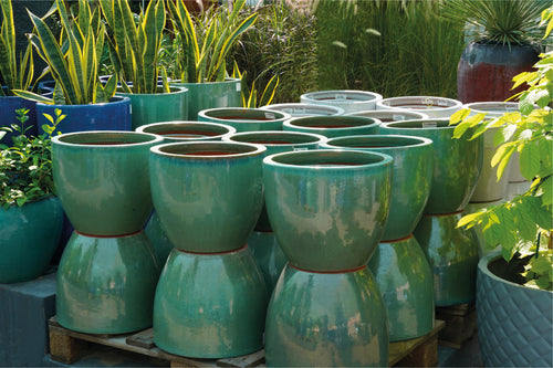 Plant Pots