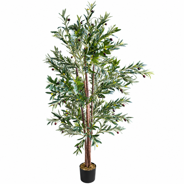 Art. Olive tree H200cm