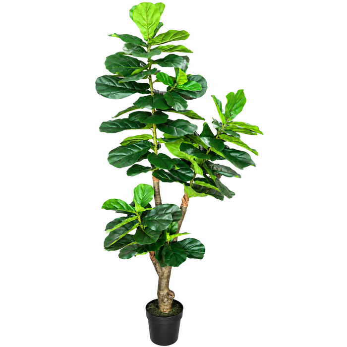 Art. Ficus lyrata H190cm