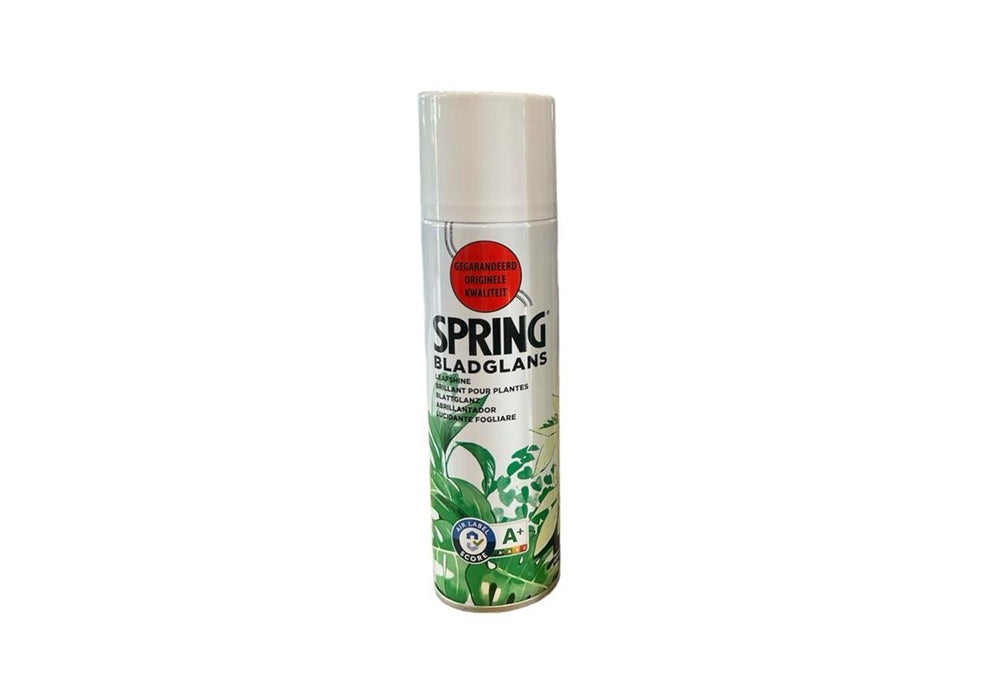 Spring Leaf Shine 250ml