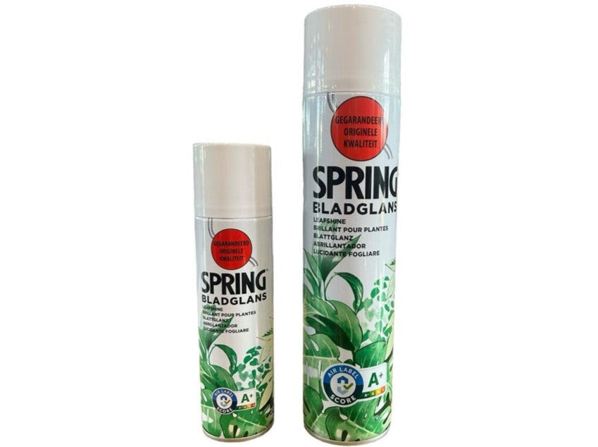 Spring Leaf Shine 250ml