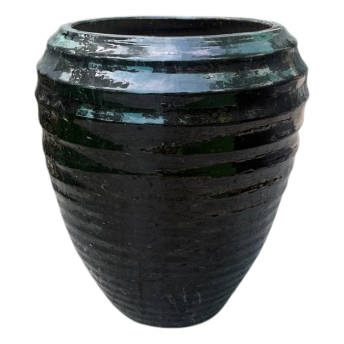 TH Bottle black pot 56x68H