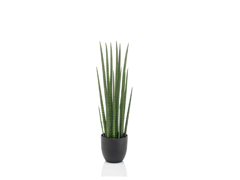 Artificial sansevieria cylindrica 70cm