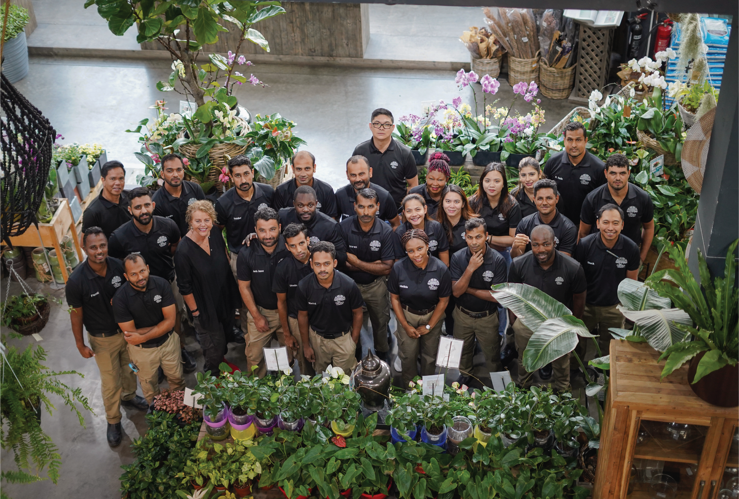 Meet the team