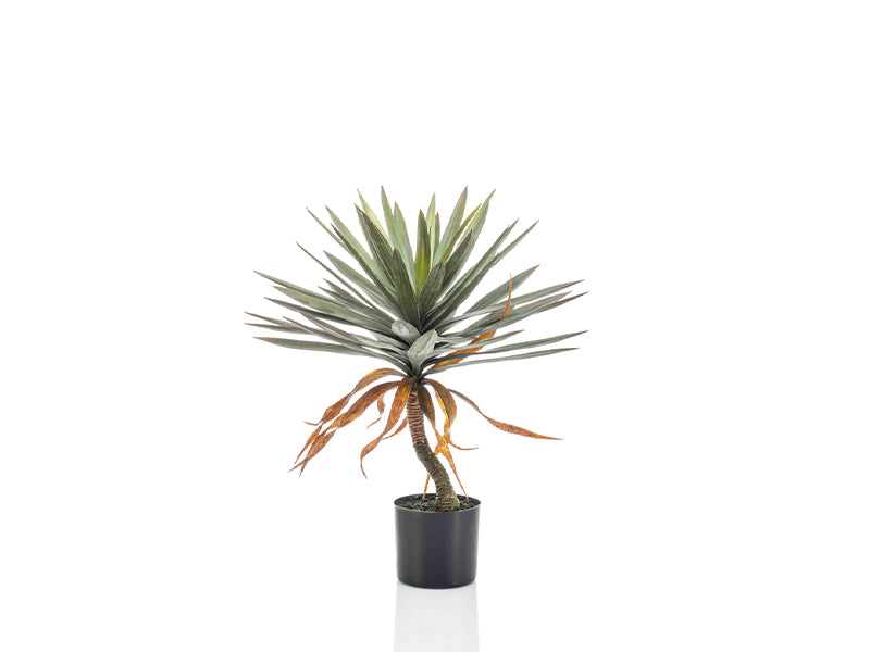 Artificial Yucca Stem in Pot