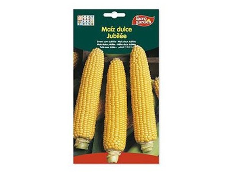 Sweet Corn Seeds