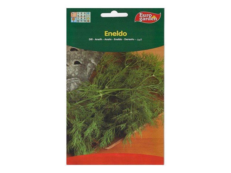 Dill Seeds