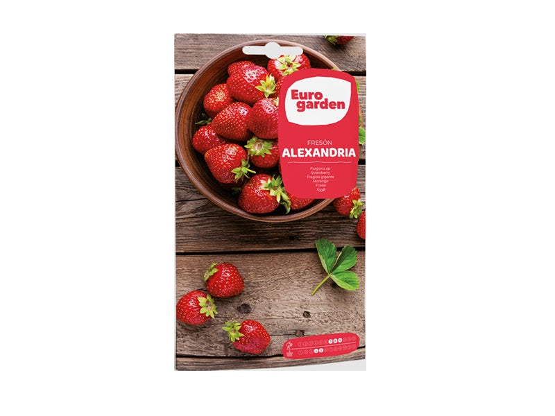 Strawberry Seeds