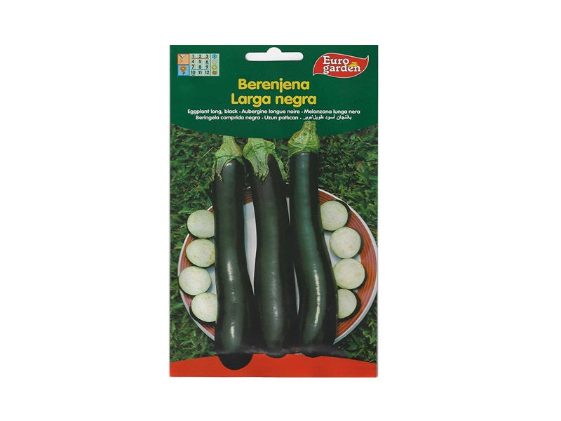 Eggplant Long Seed
