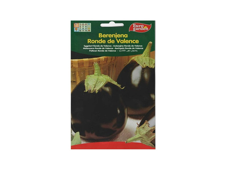 Eggplant Round Seeds