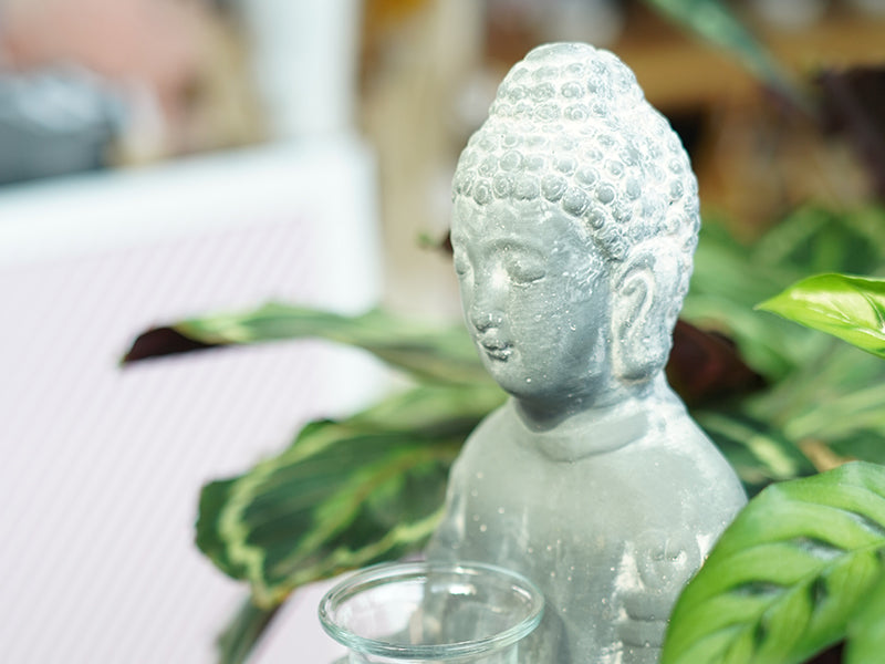 Buddha Enlightened
