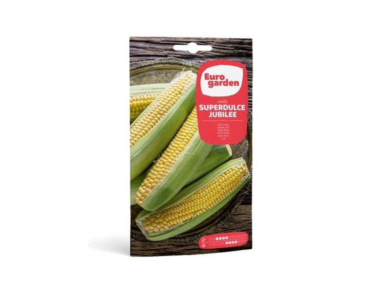 Sweet Corn Seeds